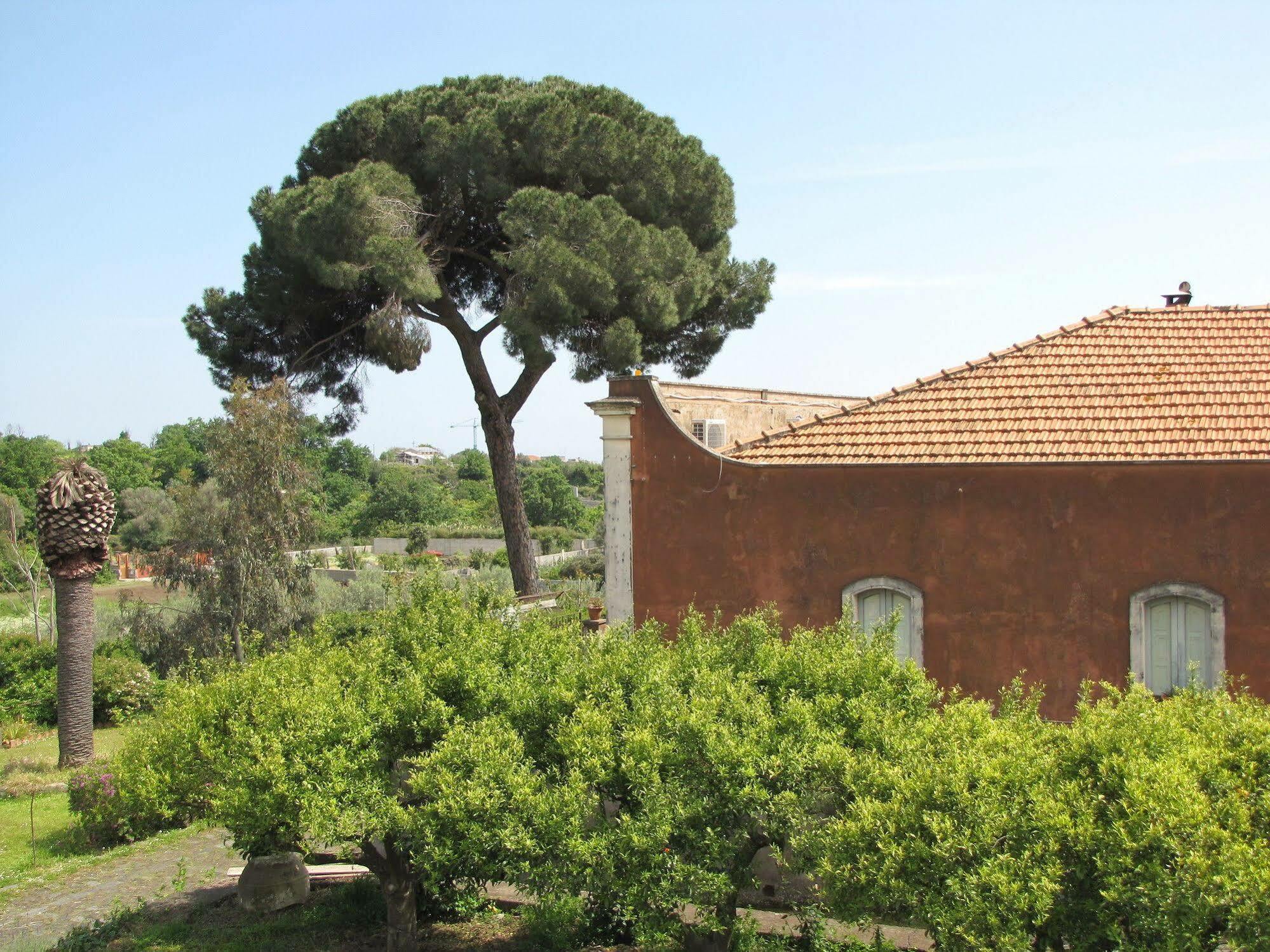 B&B Valle Allegra Gravina di Catania Zewnętrze zdjęcie