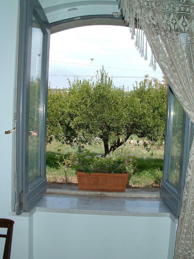 B&B Valle Allegra Gravina di Catania Zewnętrze zdjęcie