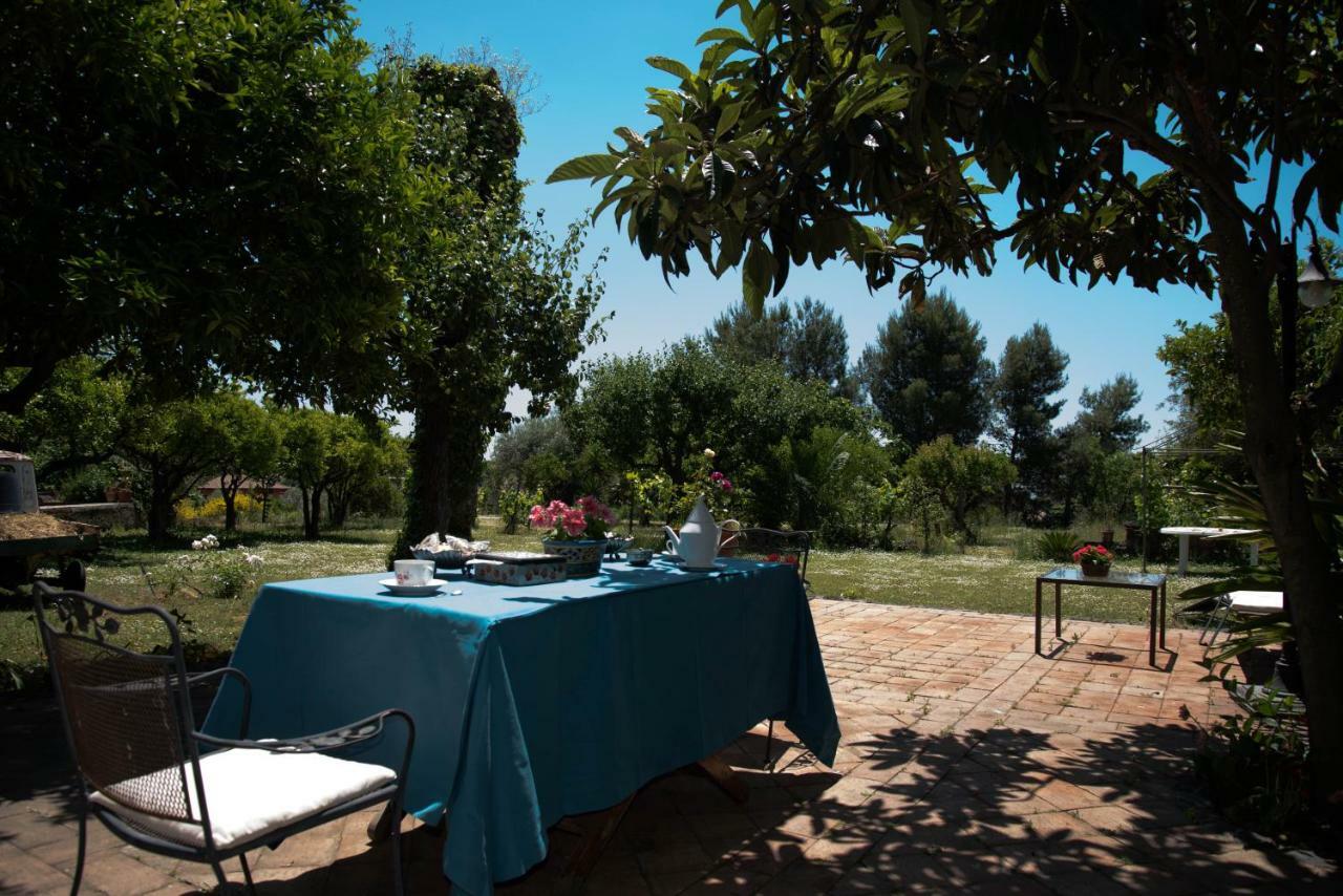 B&B Valle Allegra Gravina di Catania Zewnętrze zdjęcie